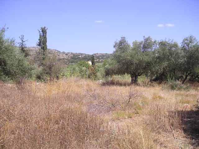 Baugrundstück in ruhiger Lage