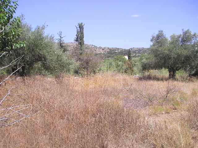 Baugrundstück in ruhiger Lage