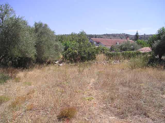 Baugrundstück in ruhiger Lage