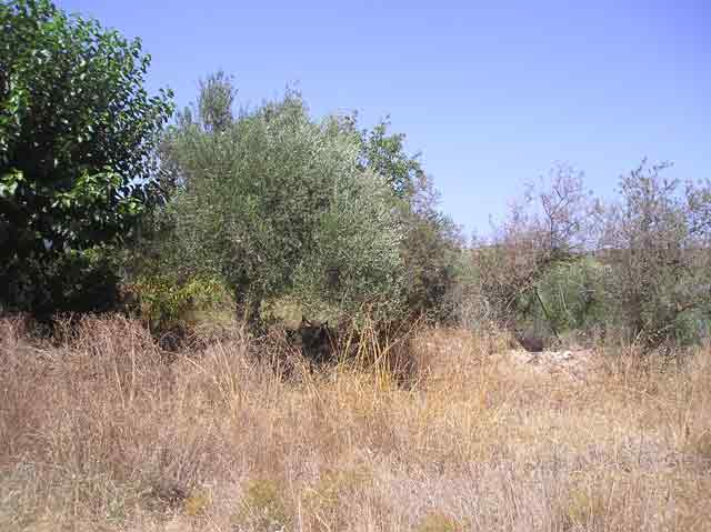 Baugrundstück in ruhiger Lage